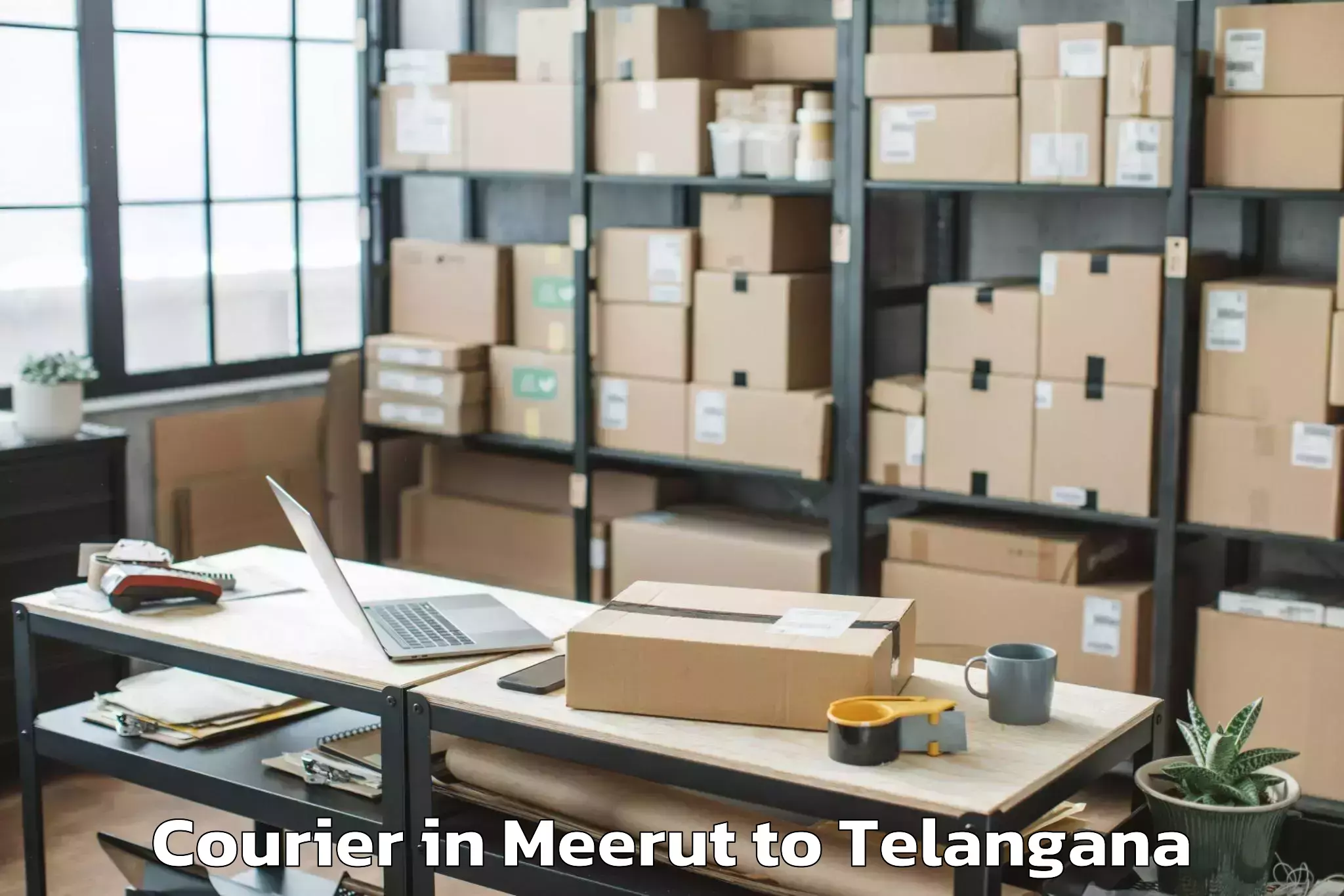 Professional Meerut to Peddapalli Courier